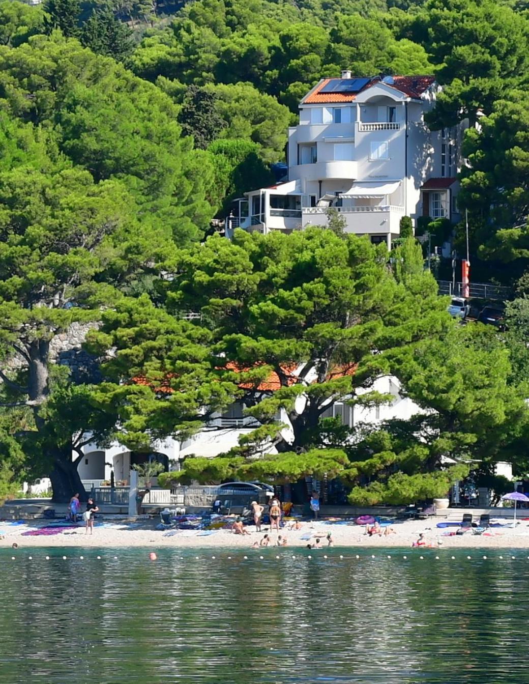 Villa Dalmatino Brela Bagian luar foto